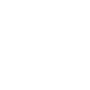 Military-Grade Encryption